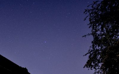 Low angle view of silhouette trees against sky at night