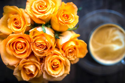 Close-up of orange flowers