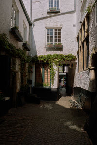 Street amidst buildings