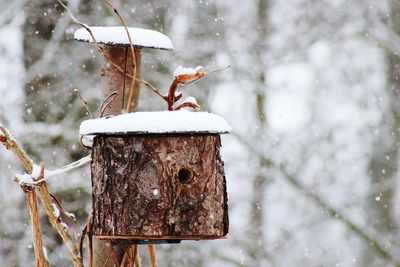 Close-up of birdhouse during winter