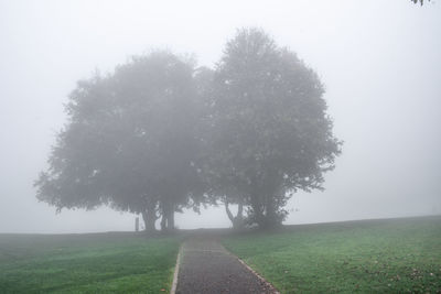 Road amidst trees on field against sky