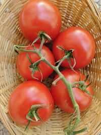 High angle view of tomatoes in basket