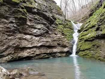 Scenic view of waterfall in forest