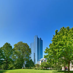 Trees and modern buildings against clear blue sky