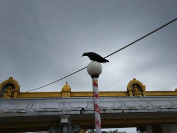 Low angle view of bird perching on cable against sky