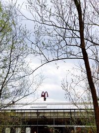 Low angle view of people standing by bare tree against sky