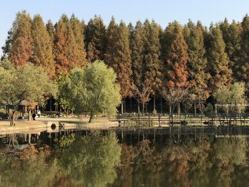 Scenic view of lake against trees during autumn