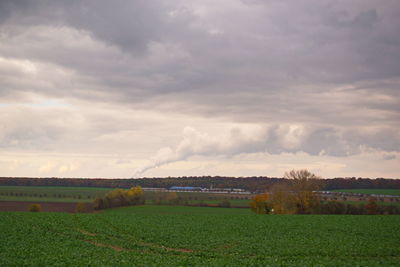 Scenic view of agricultural field against sky