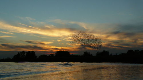 Silhouette trees by lake against sky during sunset