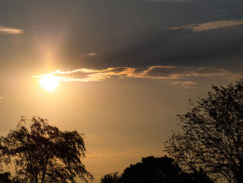 Low angle view of silhouette trees against sky during sunset