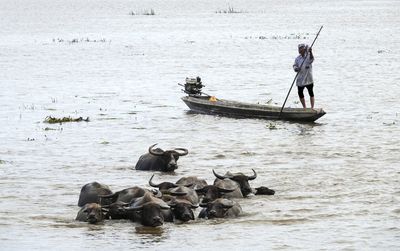 Man in boat on river