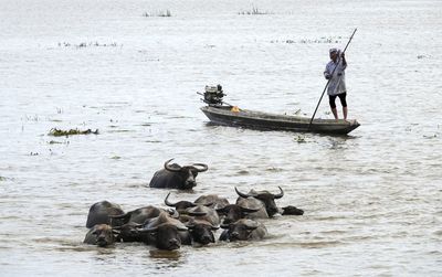 Man in boat on river