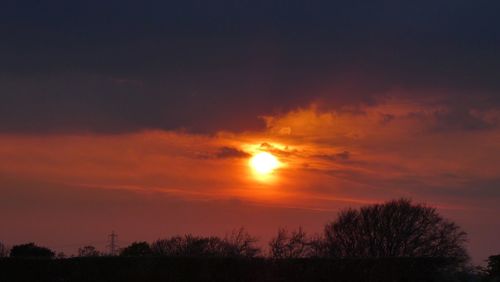 Silhouette trees on landscape against romantic sky at sunset