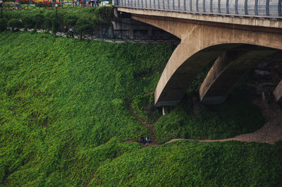 High angle view of bridge over field