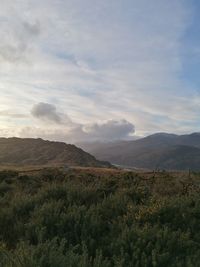 Scenic view of field against sky