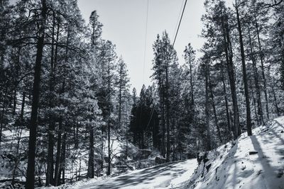 Scenic view of snow covered landscape