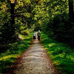 Rear view of senior couple walking on pathway amidst trees