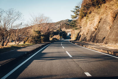 Surface level of road along trees