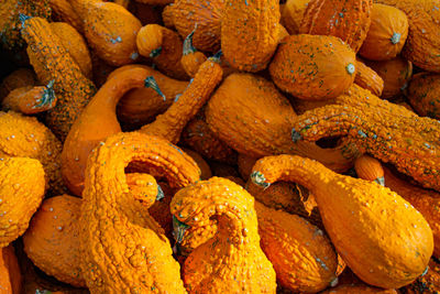 Full frame shot of fruits for sale at market stall