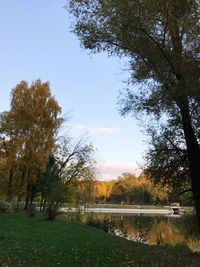 Scenic view of trees against sky