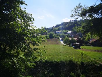 Scenic view of landscape against sky