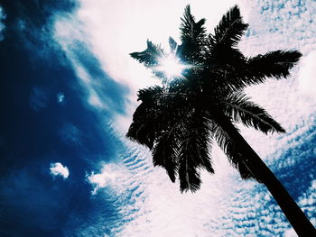 Low angle view of trees against sky