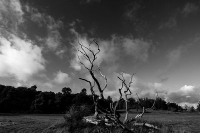 Scenic view of field against cloudy sky