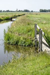 Wooden posts on field by lake