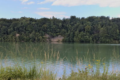 Scenic view of lake by trees against sky