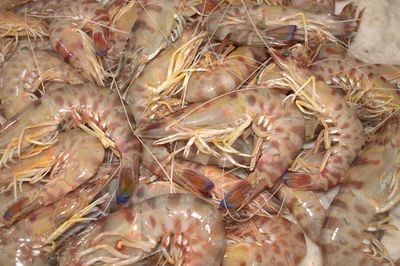 High angle view of crab for sale in market