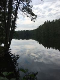 Scenic view of lake in forest against sky