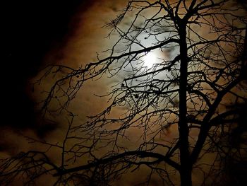 Low angle view of silhouette bare tree at night