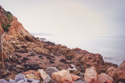 Scenic view of sea against clear sky