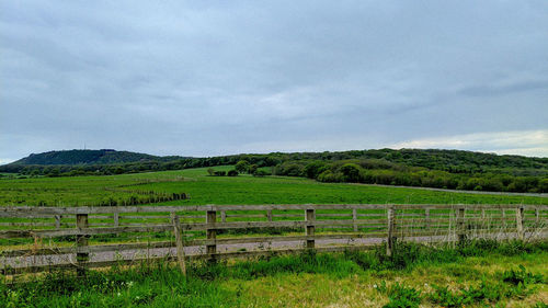 Scenic view of field against sky