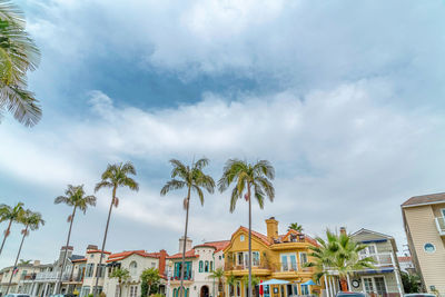 Low angle view of palm trees and houses against sky