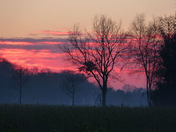 Silhouette trees on field against romantic sky at sunset