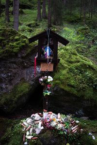 View of buddha statue in forest