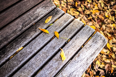 High angle view of yellow leaves on wooden bench
