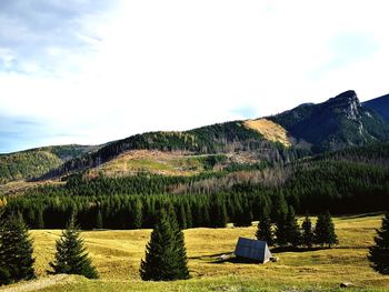 Scenic view of field against sky