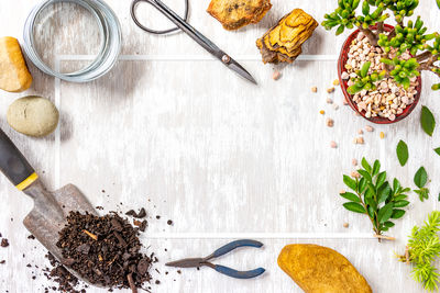 High angle view of vegetables on table