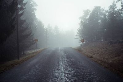 Road passing through forest