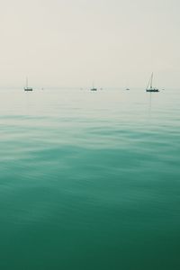 Sailboat sailing in sea