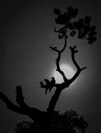 Low angle view of silhouette tree against sky at sunset