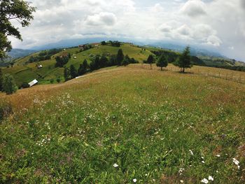 Scenic view of landscape against sky