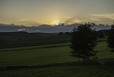 Scenic view of field against sky during sunset