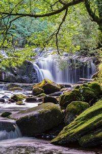 Waterfall in forest