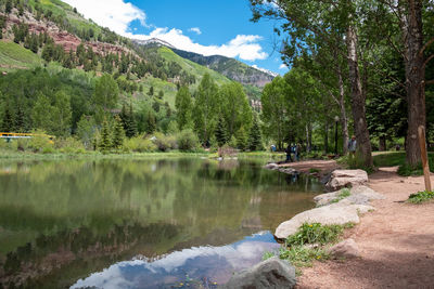 Scenic view of lake by trees against sky