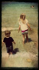 Rear view of siblings standing on grass