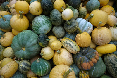 Full frame shot of pumpkins