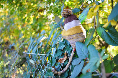 Low angle view of woman standing against plants